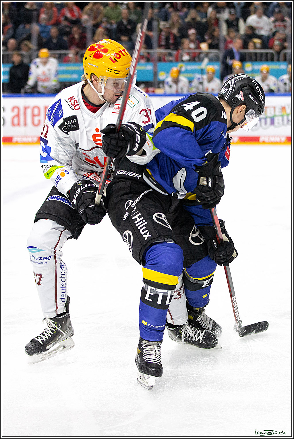 PENNY DEL; Koelner Haie- Fishtown Pinguins Bremerhaven; Koeln, 23.11.2021